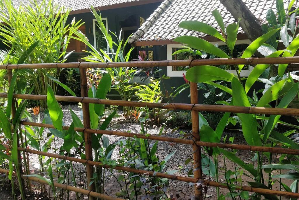 Villa King: Unique Villa With Indoor Swimming Pool Amed  Luaran gambar