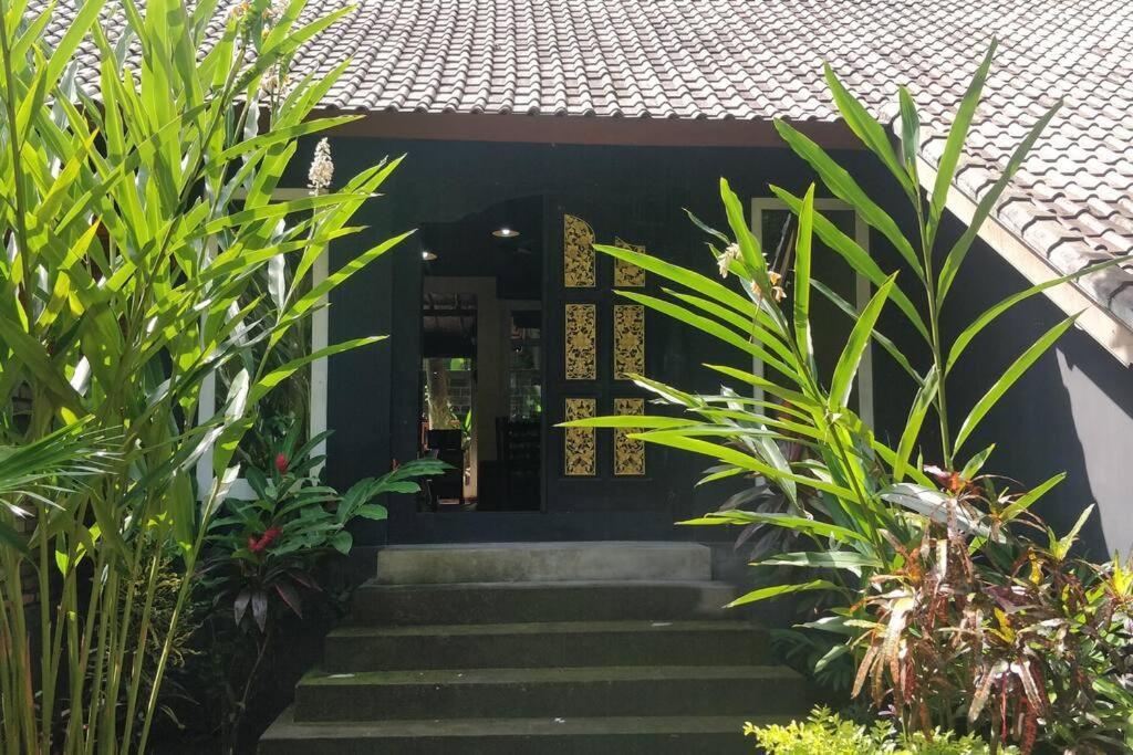 Villa King: Unique Villa With Indoor Swimming Pool Amed  Luaran gambar