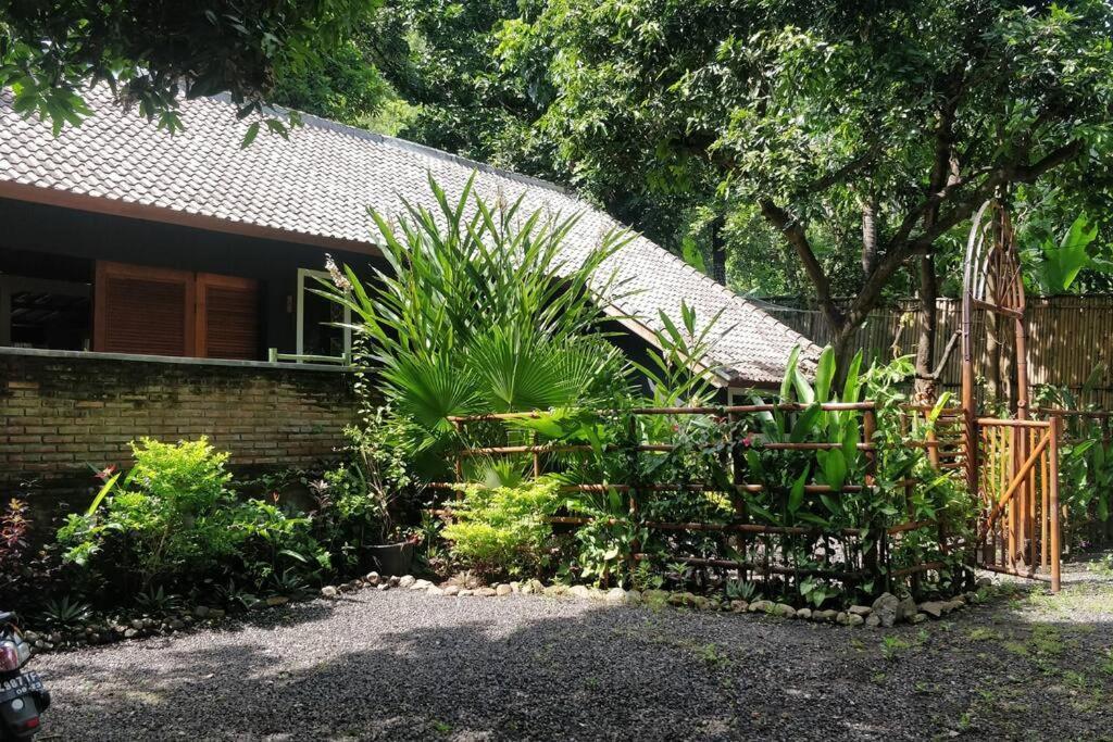 Villa King: Unique Villa With Indoor Swimming Pool Amed  Luaran gambar