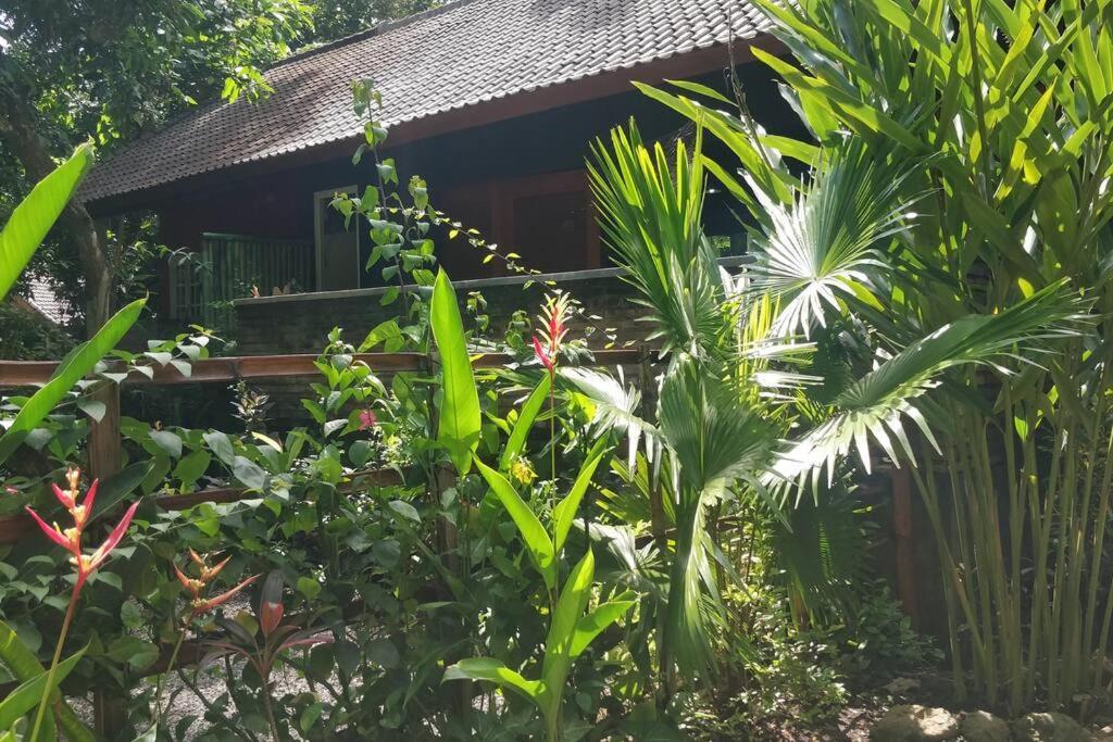 Villa King: Unique Villa With Indoor Swimming Pool Amed  Luaran gambar